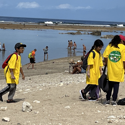 clean up st pierre plage