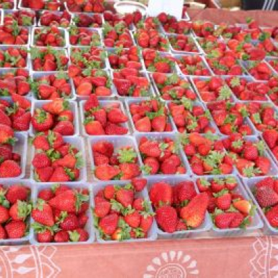 25ième édition de la fête de la fraise réussie