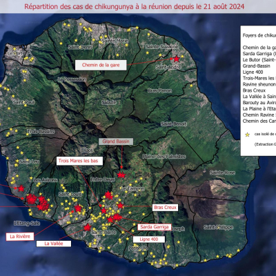 Epidémie de Chikungunya : dernière situation